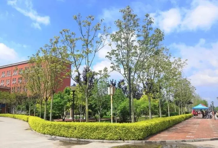 智慧校园视觉方案下的学生考勤管理:新技术应用的探索和挑战
